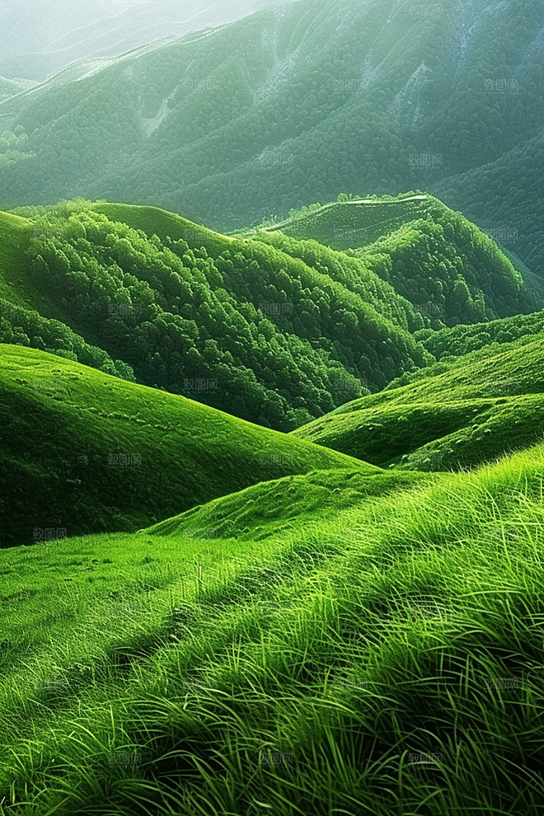 草地风景夏天摄影图