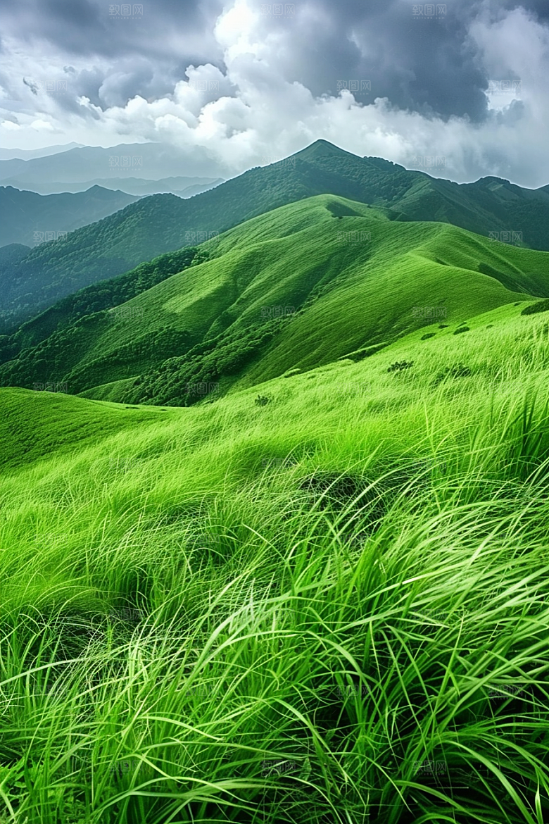 草地山野夏天摄影图