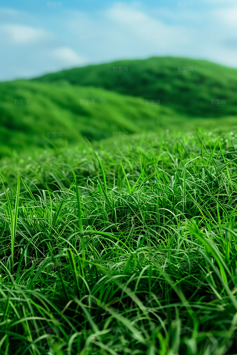 草地风光清新摄影图