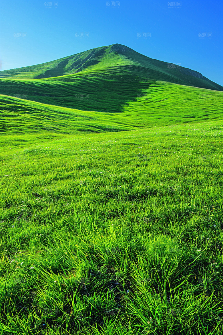 草地风光山野摄影图