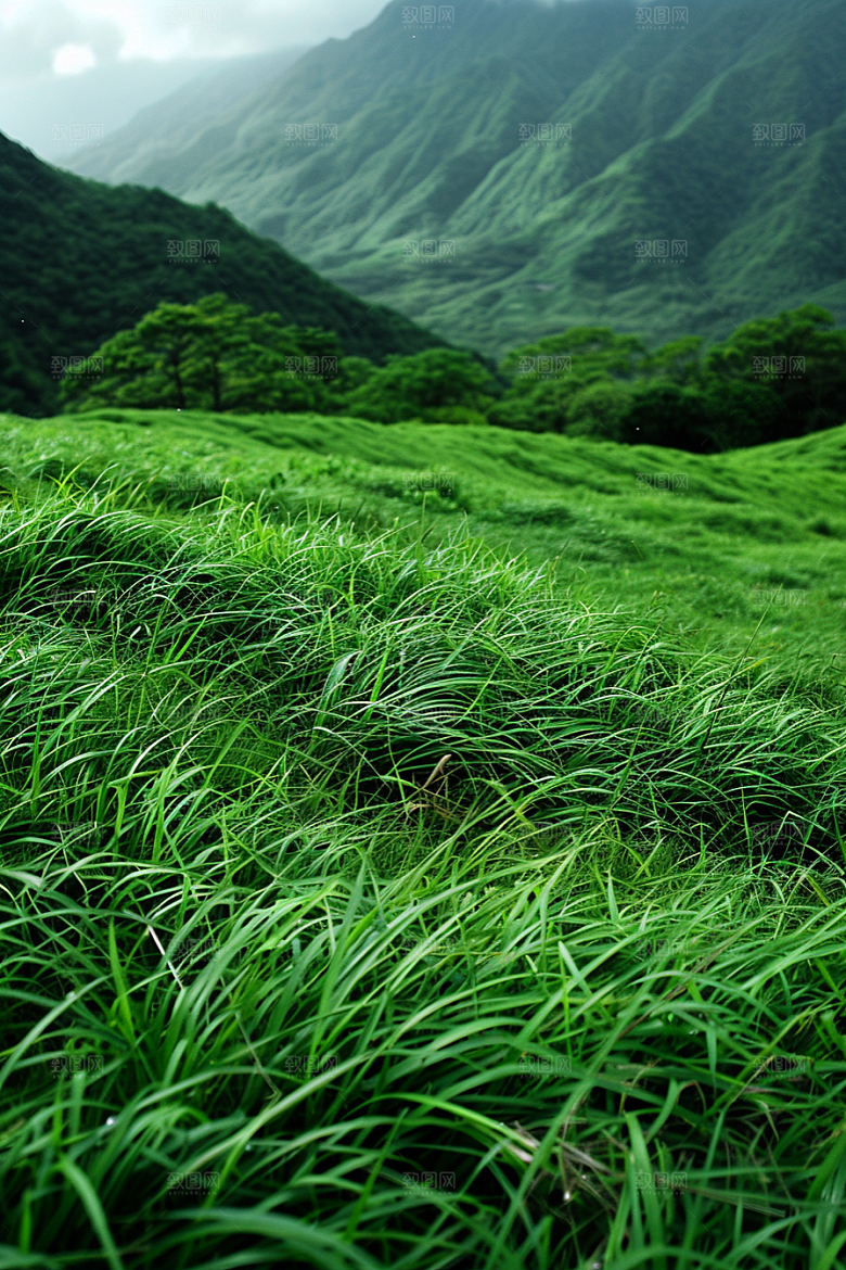 草地原野山野摄影图