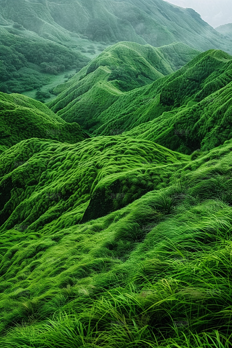 草地高清绿色摄影图