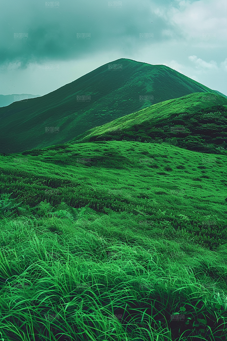 草地山野草场摄影图