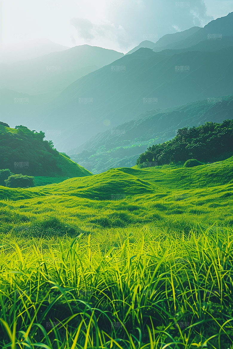 草地原野草场摄影图