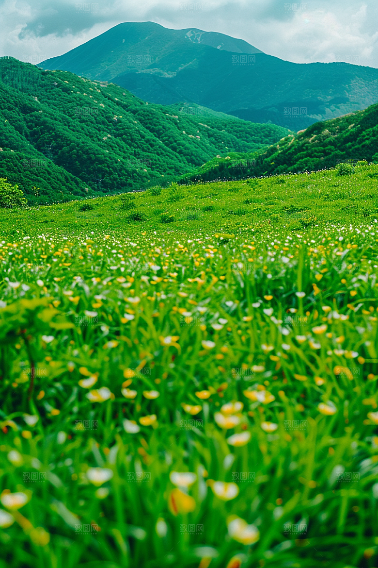 草地夏天七月摄影图