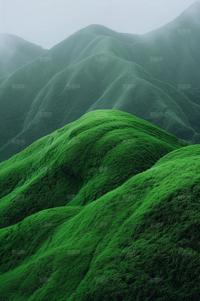 草地山野草原摄影图