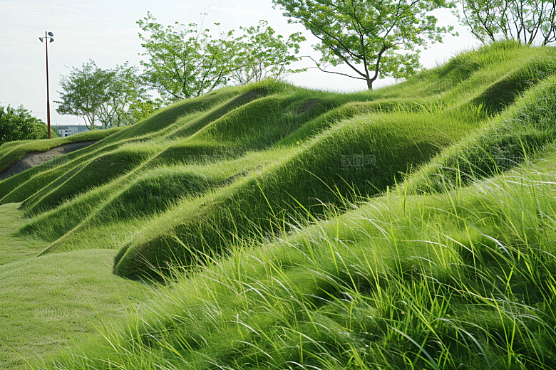 草地山野原野摄影图