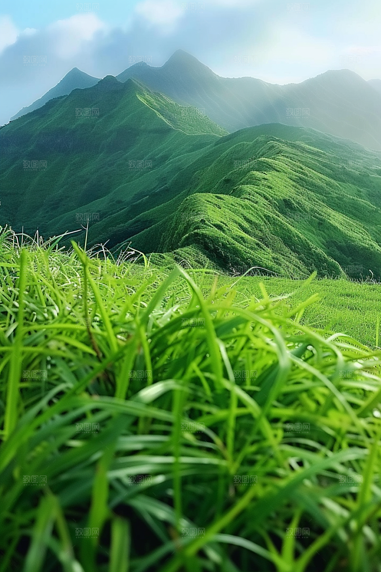 草地夏天清新摄影图