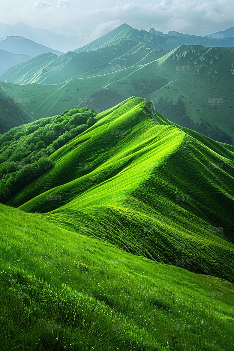草地草场山野摄影图
