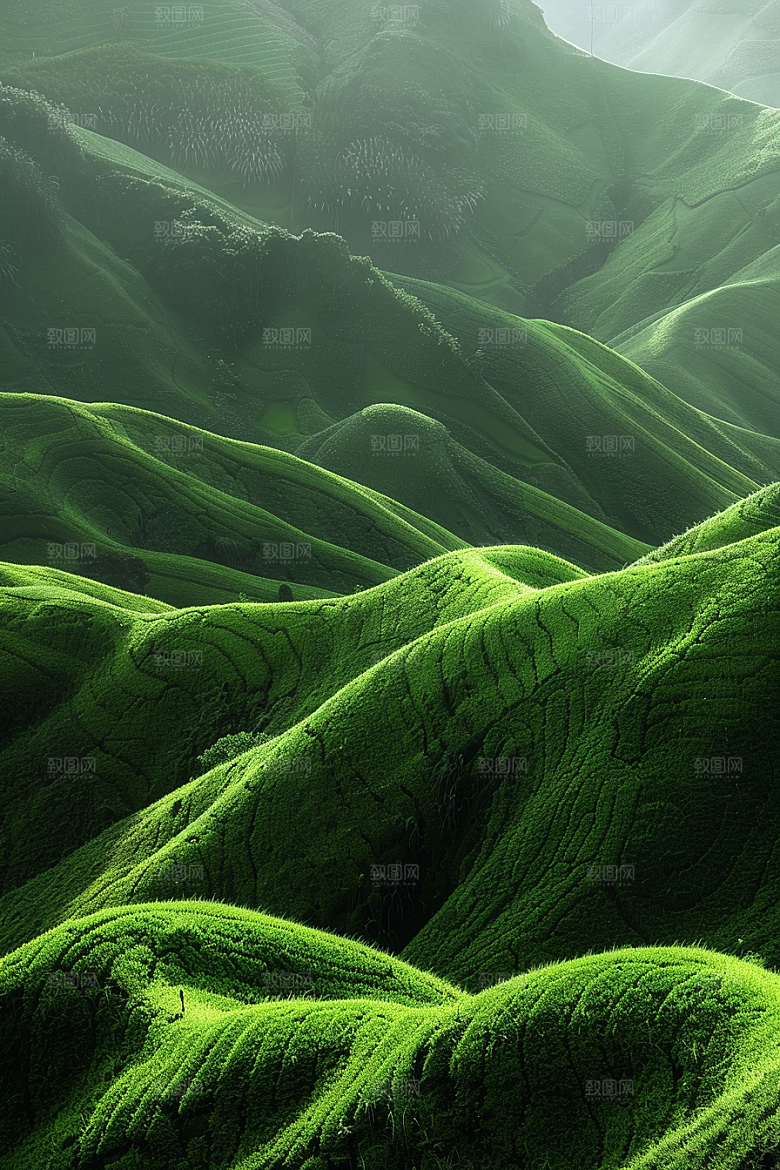草地风景山野摄影图