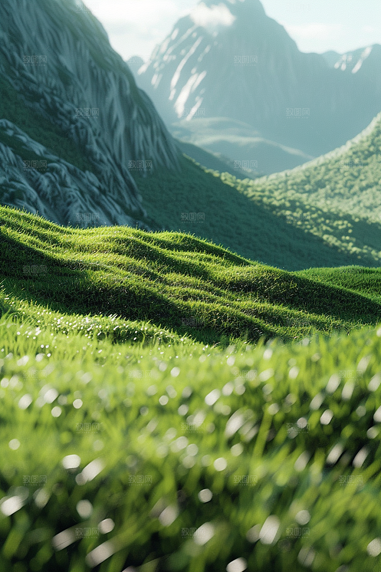 草地风景高清摄影图