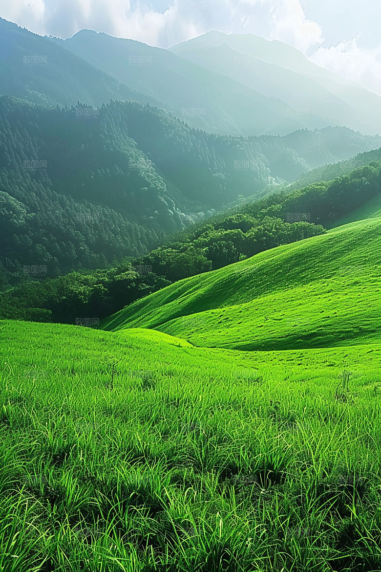草地山野草原摄影图