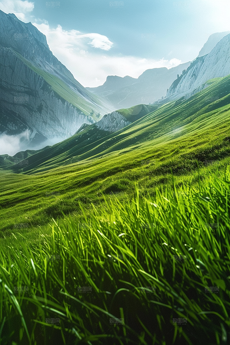 草地风景高清摄影图