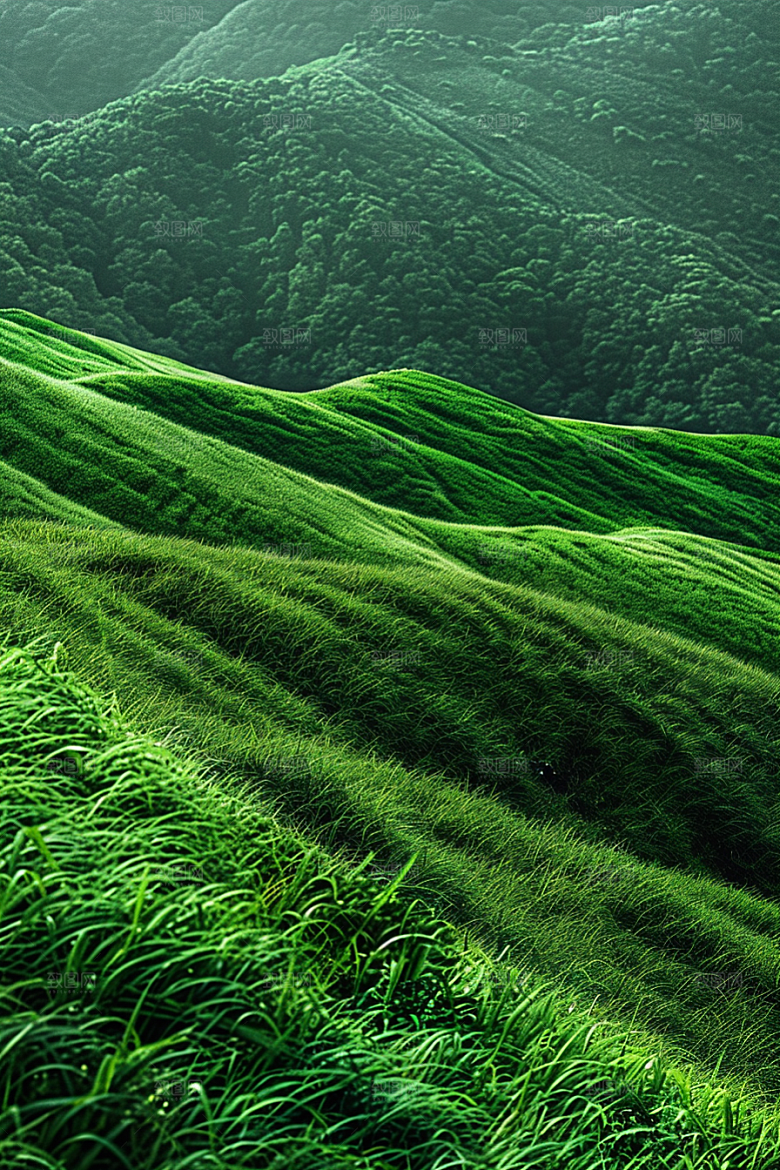 草地山野草场摄影图