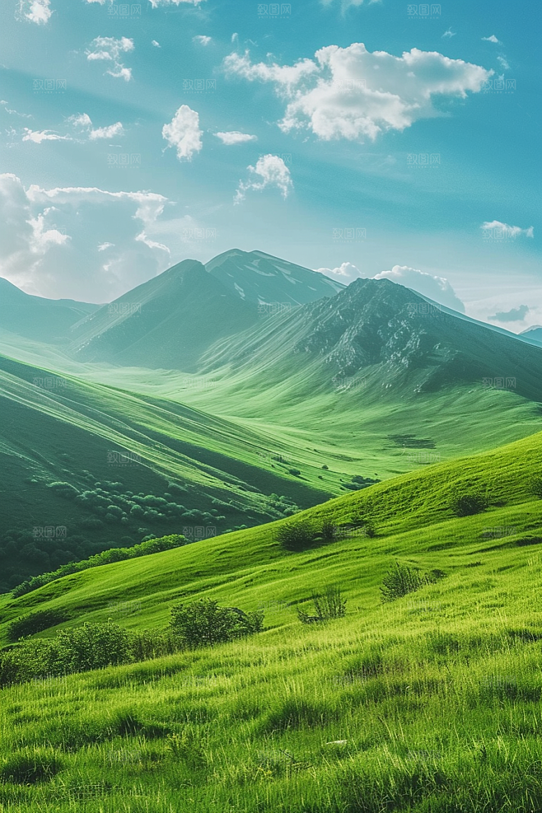 草地风景七月摄影图