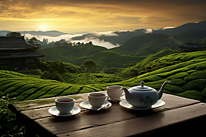 茶园茶具清新品茶摄影图
