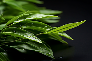 茶叶自然雨前龙井摄影图