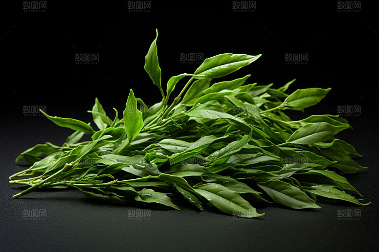 茶叶采茶茶树摄影图