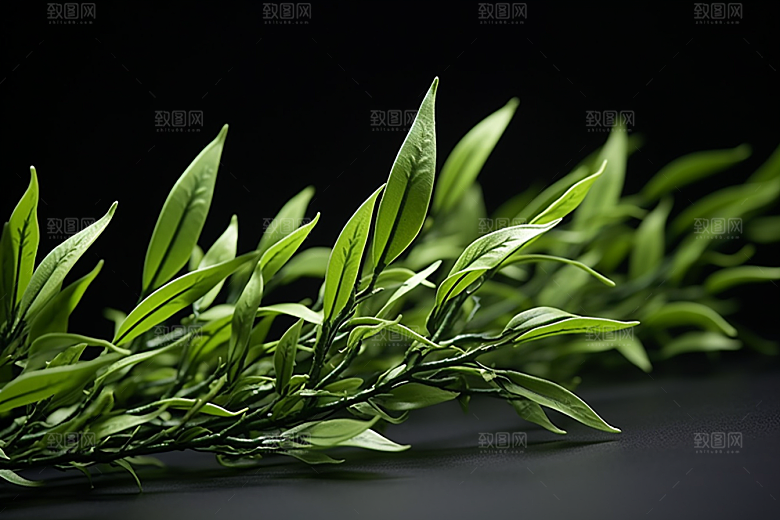 茶叶新茶茶山摄影图