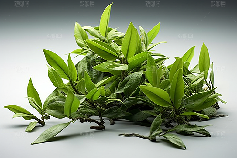 茶叶自然高清摄影图