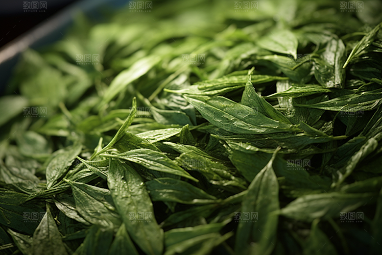 茶叶清新茶山摄影图