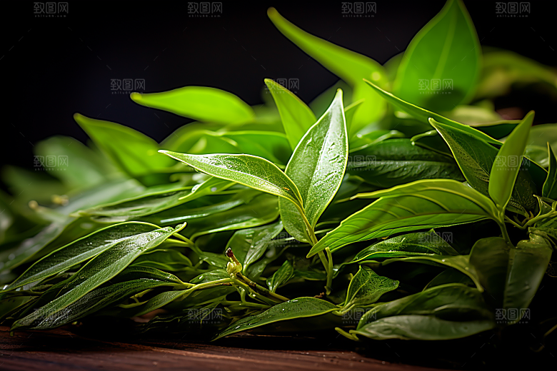 茶叶自然茶园摄影图
