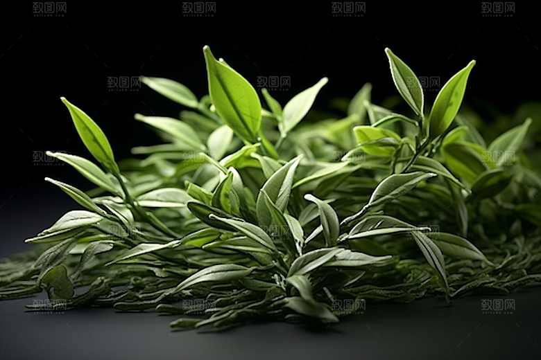 茶叶茶山采茶摄影图