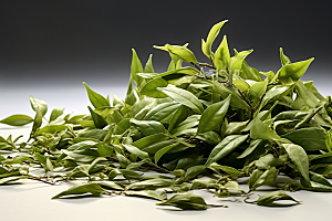茶叶自然春茶摄影图