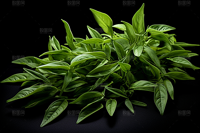 茶叶新茶自然摄影图