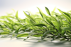 茶叶采茶茶园摄影图