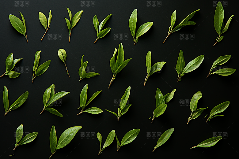 茶叶茶树自然摄影图
