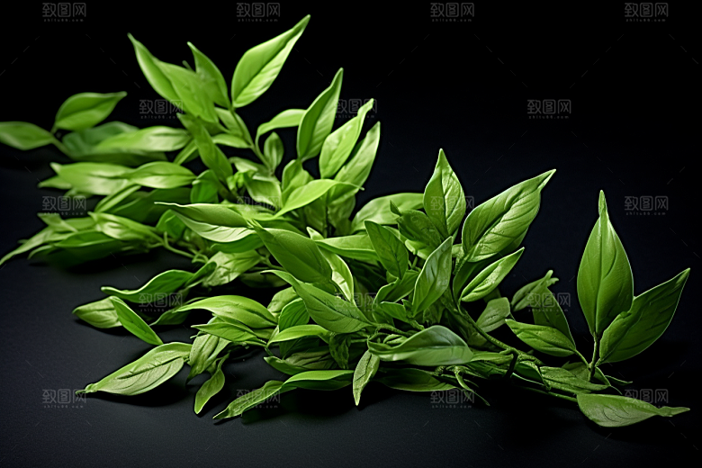 茶叶清新春茶摄影图