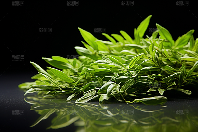 茶叶春茶茶树摄影图