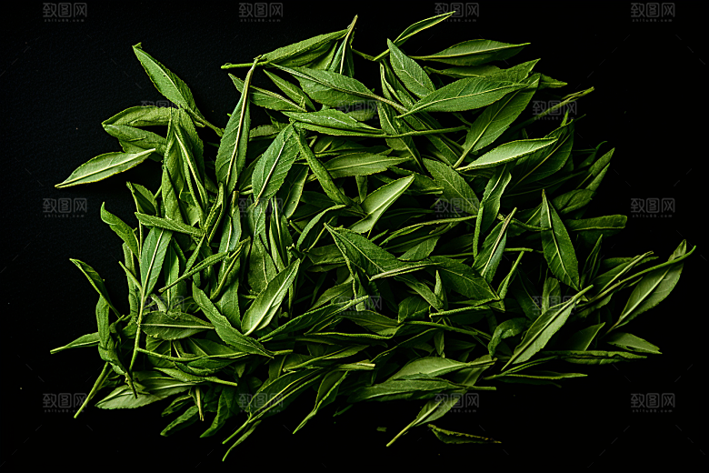 茶叶清新茶树摄影图