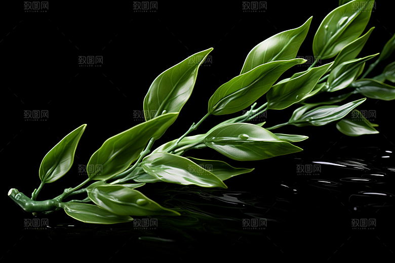 茶叶自然茶树摄影图