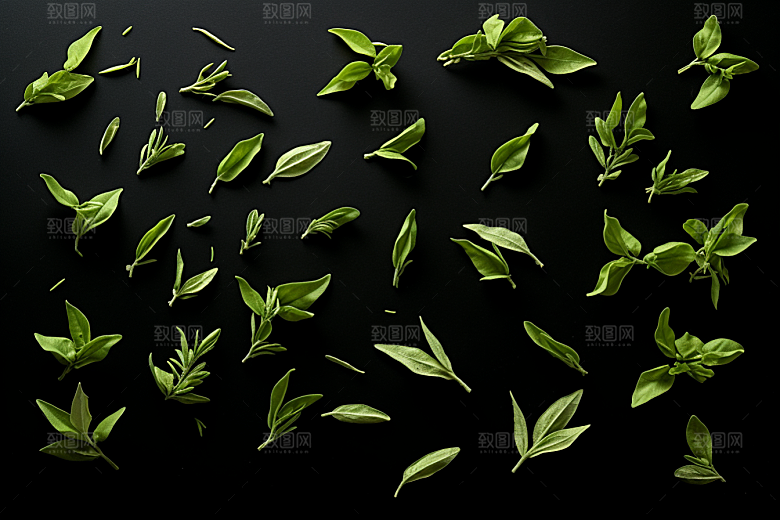 茶叶茶树春茶摄影图