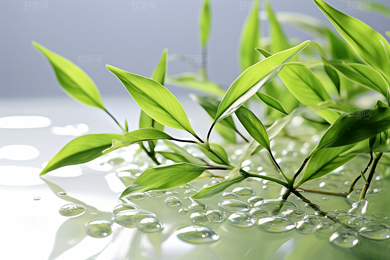 茶叶春季茶山摄影图