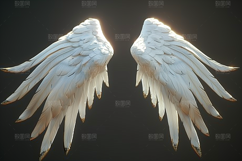 梦幻翅膀唯美羽毛素材