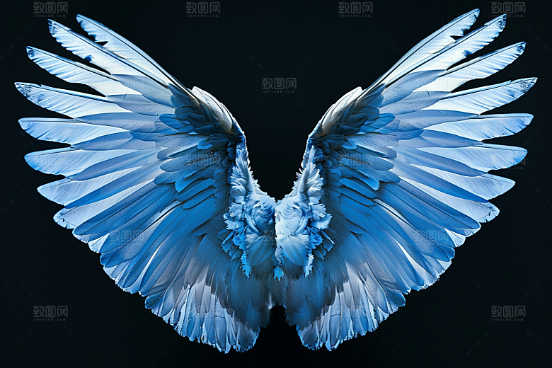 梦幻翅膀浪漫唯美素材