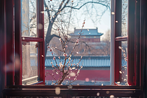 窗外的春色花园窗景摄影图