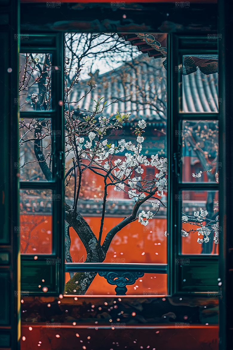 窗外的春色高清自然摄影图