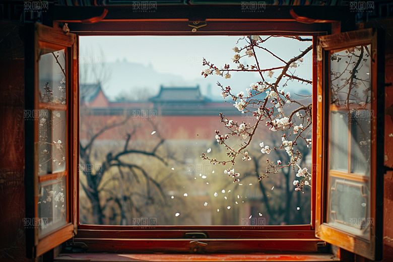 窗外的春色户外春天摄影图