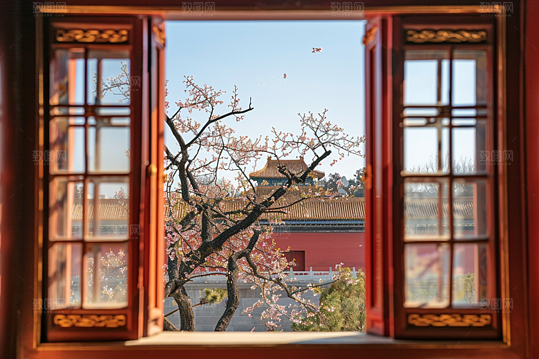 窗外的春色花草树木美景摄影图