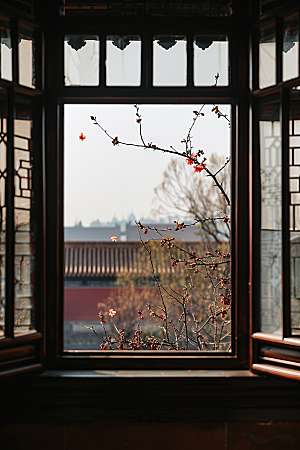 窗外的春色窗景花草树木摄影图