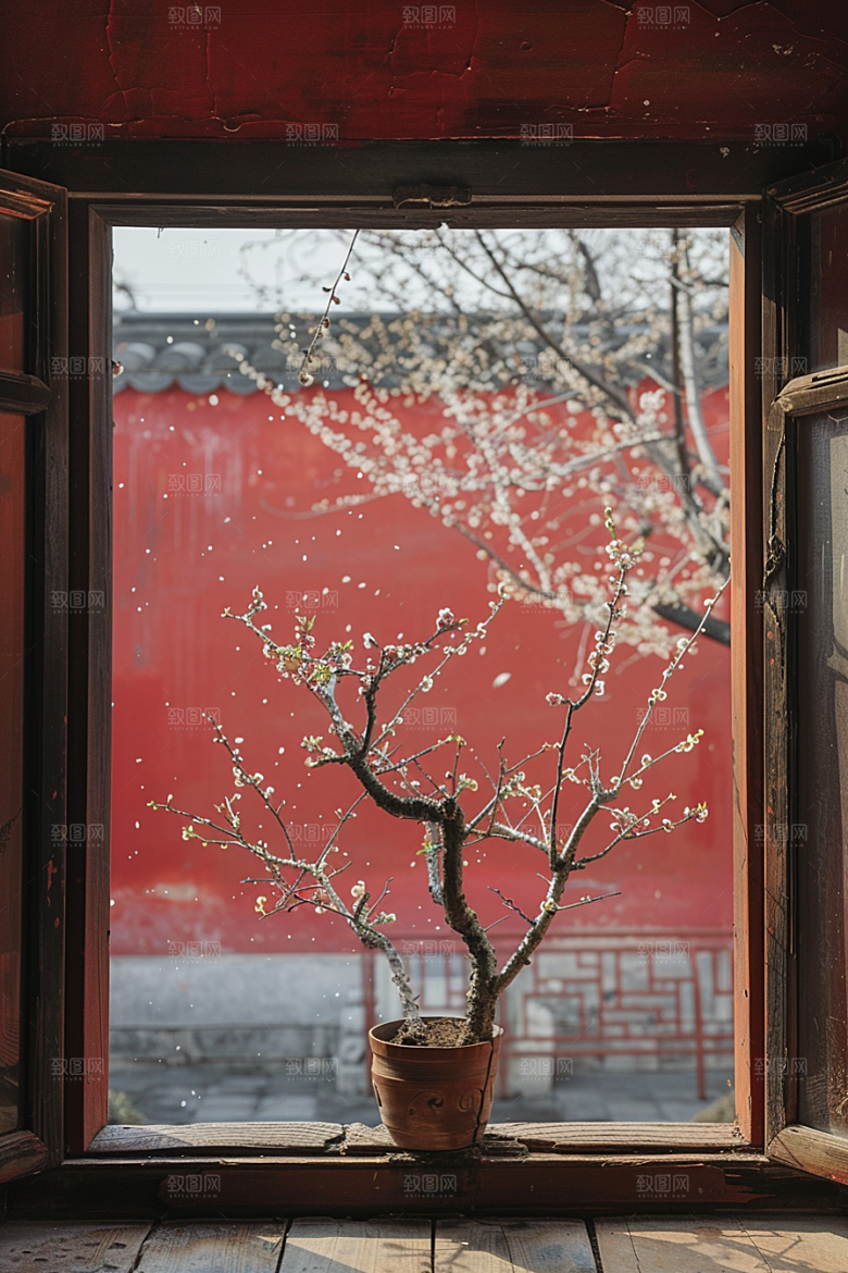 窗外的春色花园美景摄影图