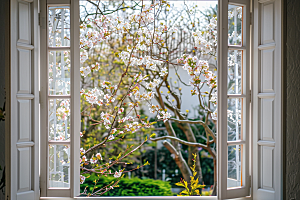 窗外的春色高清花园摄影图