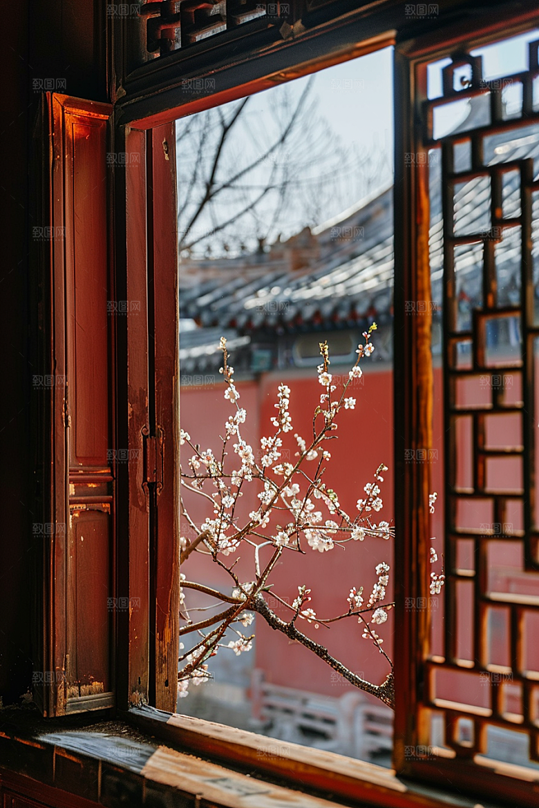 窗外的春色窗景高清摄影图