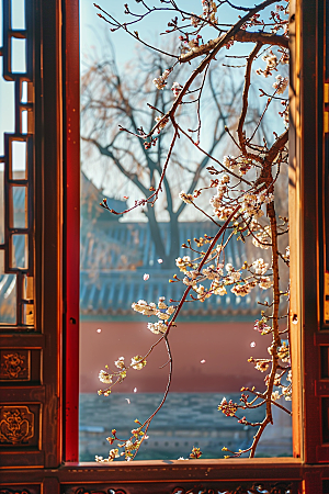 窗外的春色窗景景色摄影图