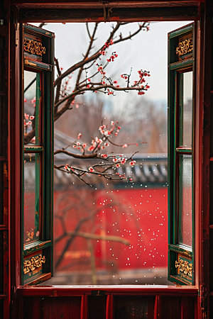 窗外的春色花草树木生机勃勃摄影图