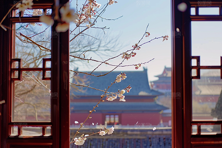 窗外的春色花草树木户外摄影图